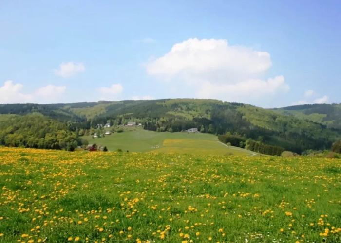Apartment Near Willingen With Private Terrace