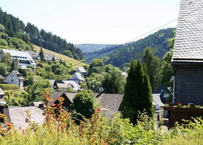 Apartment Near Willingen With Private Terrace