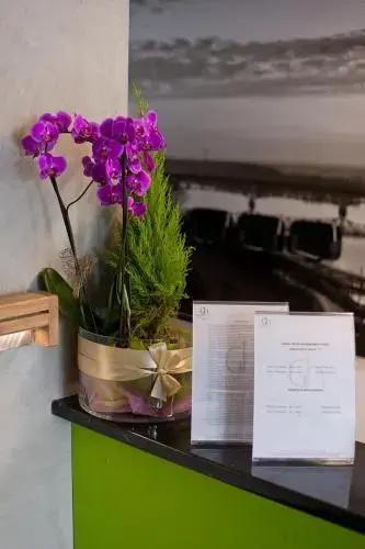 Green Hotel Plock