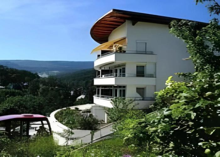 Schwarzwald Panorama