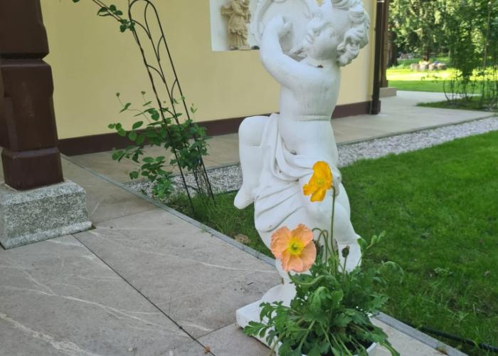 Villa Musik Apartments