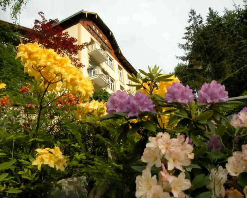 Hotel Alpenblick