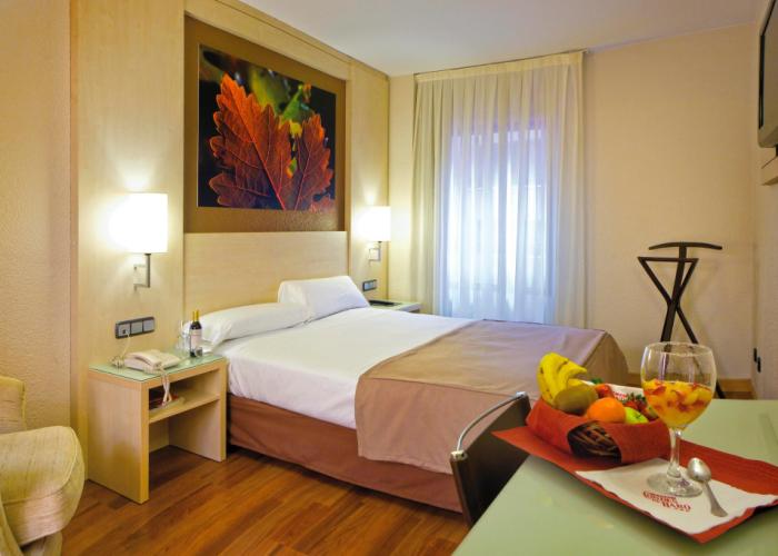 Hotel Condes de Haro