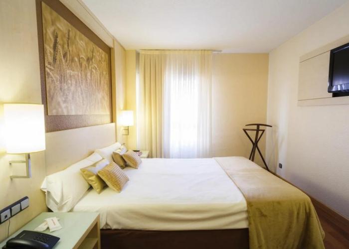Hotel Condes de Haro