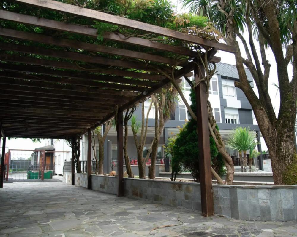 фото Los Olmos