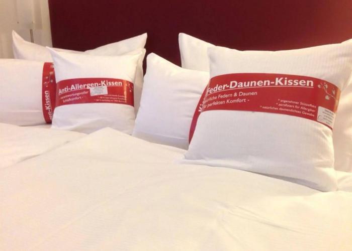 Altstadthotel Arte