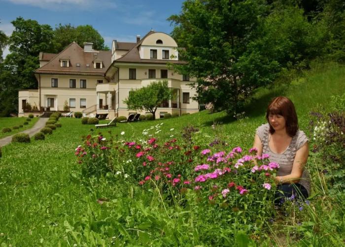 hideauts hotels Der Rosengarten.
