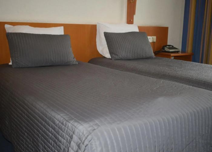 Hotel Professor