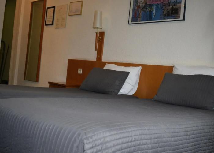 Hotel Professor