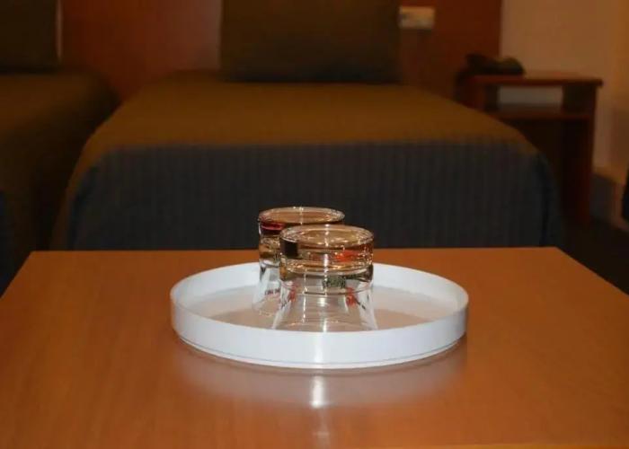 Hotel Professor