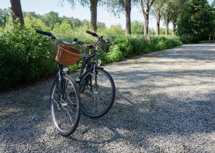 B&B Scheldekant