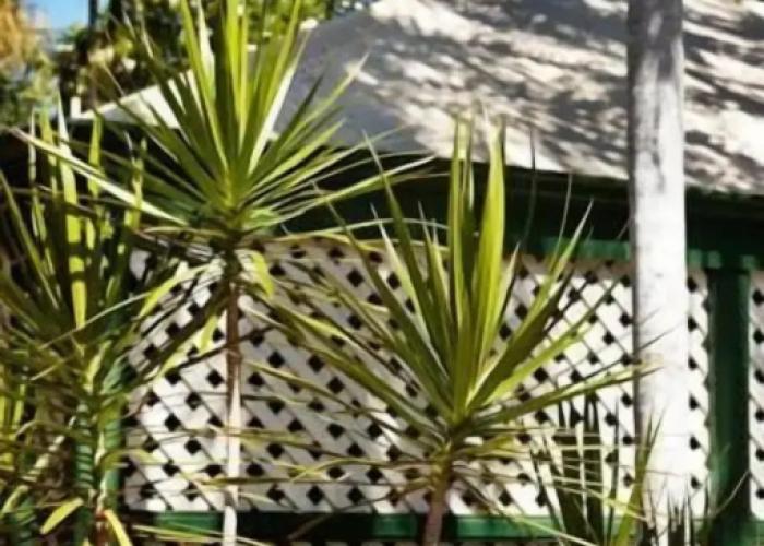 Pinctada McAlpine House