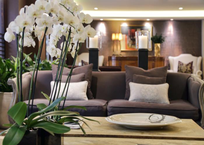 The Y Hotel