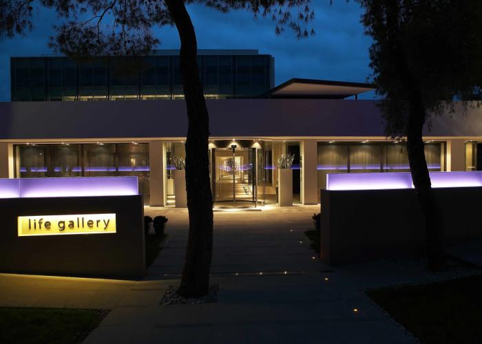 Life Gallery