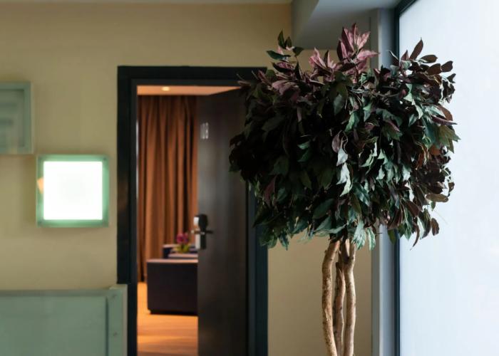 Pines Hotel