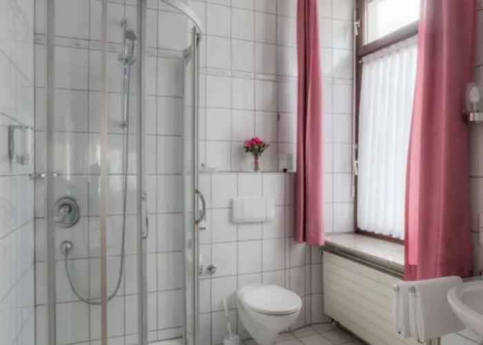 Hotel Paulin