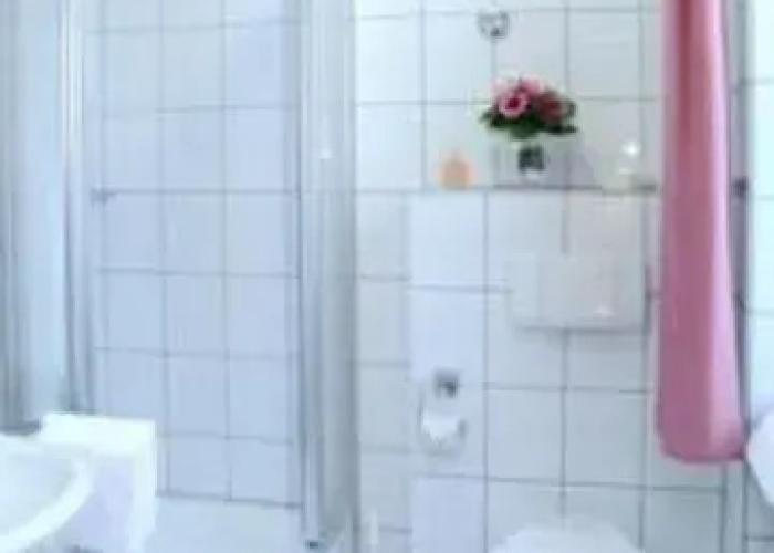 Hotel Paulin
