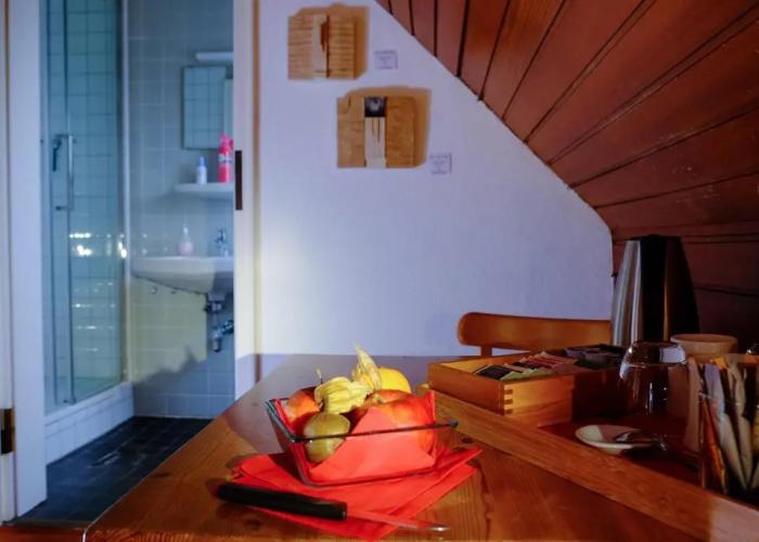 RheinRiver Guesthouse - Direkt am Rhein