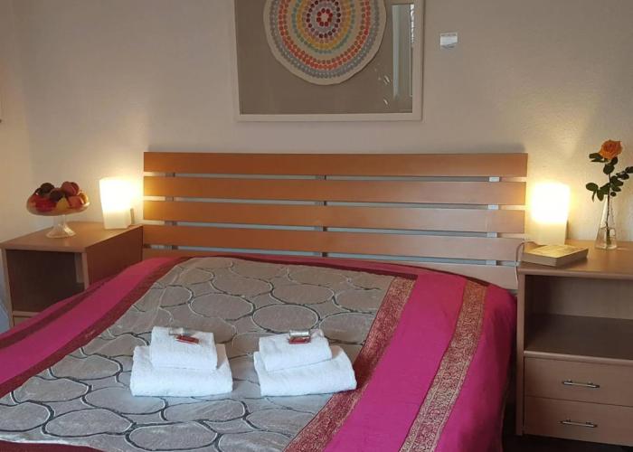 RheinRiver Guesthouse - Direkt am Rhein