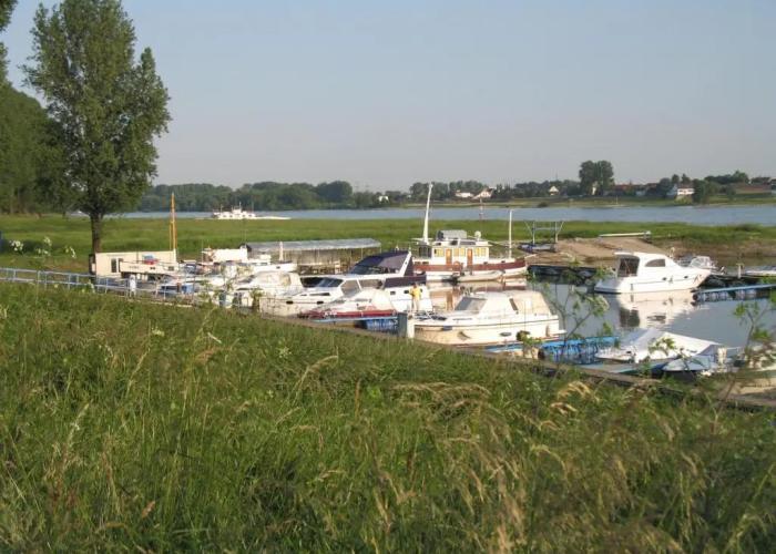 RheinRiver Guesthouse - Direkt am Rhein