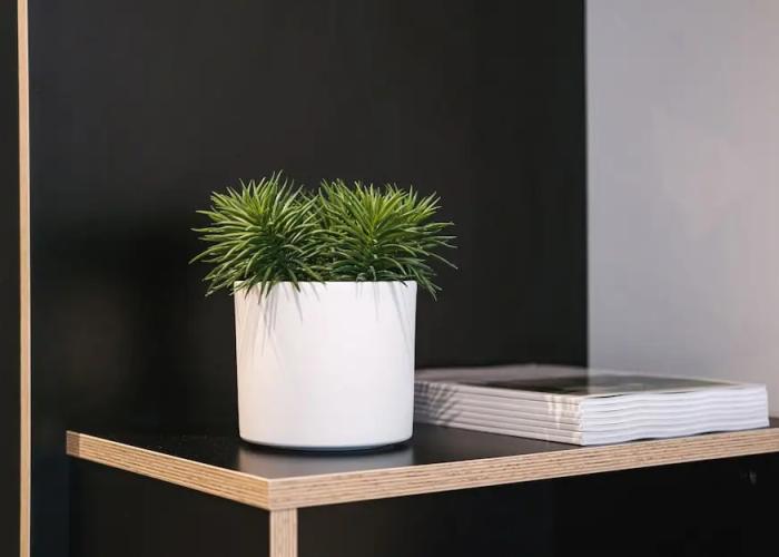 MoLiving - Design Hotel & Apartments Düsseldorf-Neuss