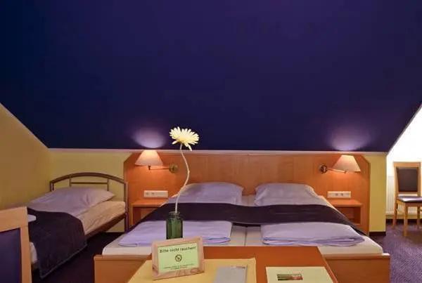 Pension Vicus