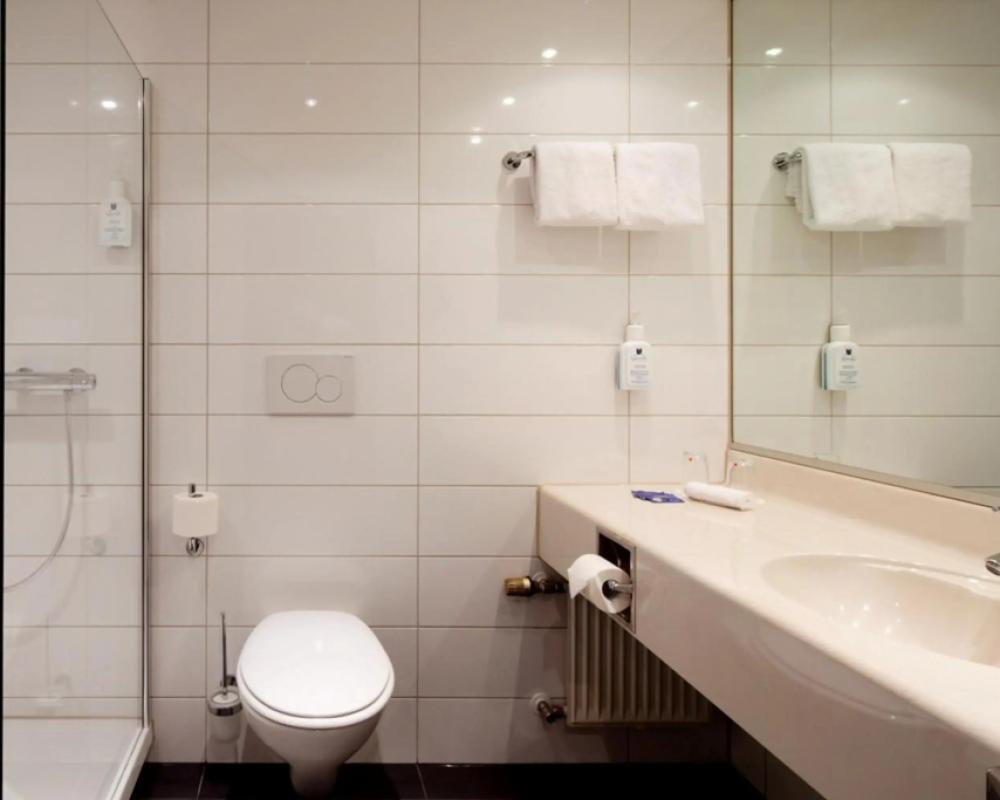 фото Erikson Hotel