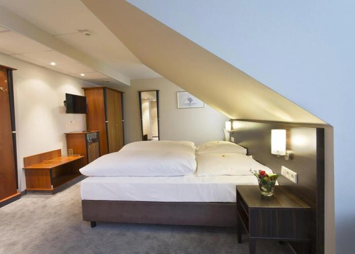Erikson Hotel