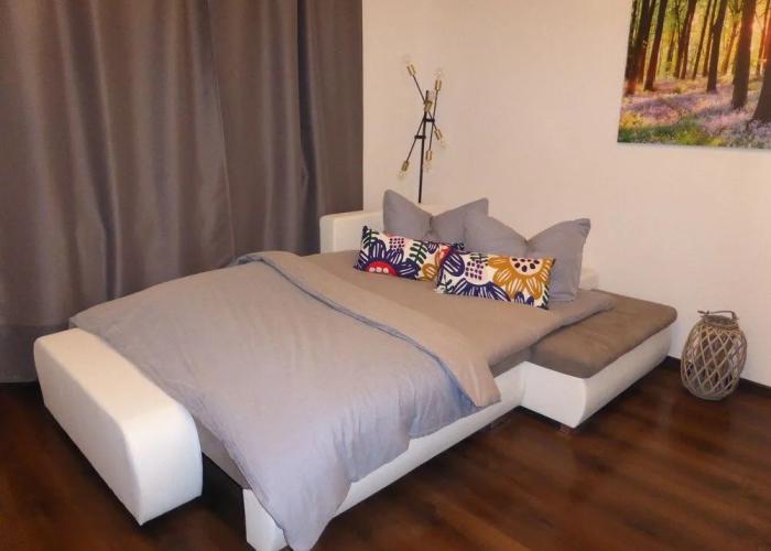 Apartment Goethe