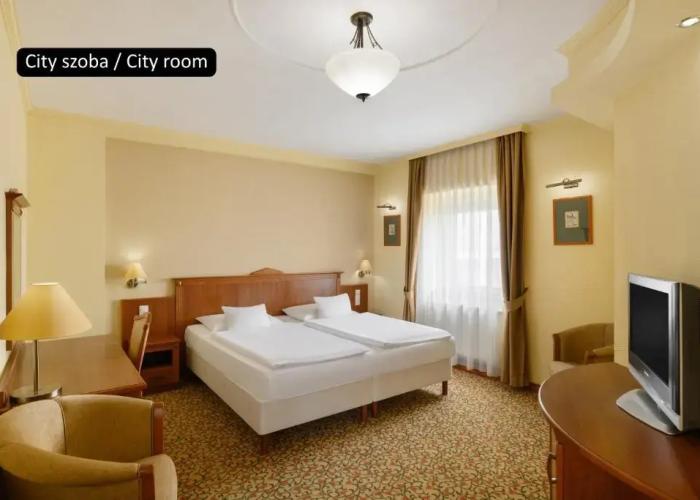 Aranyhomok Business-City-Wellness Hotel