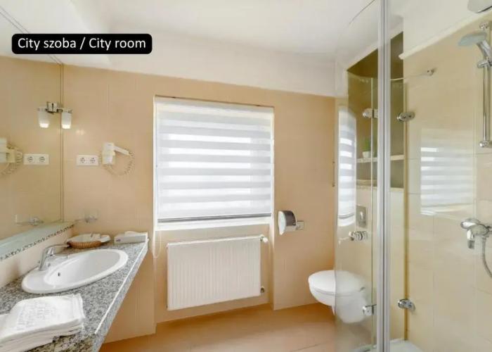 Aranyhomok Business-City-Wellness Hotel