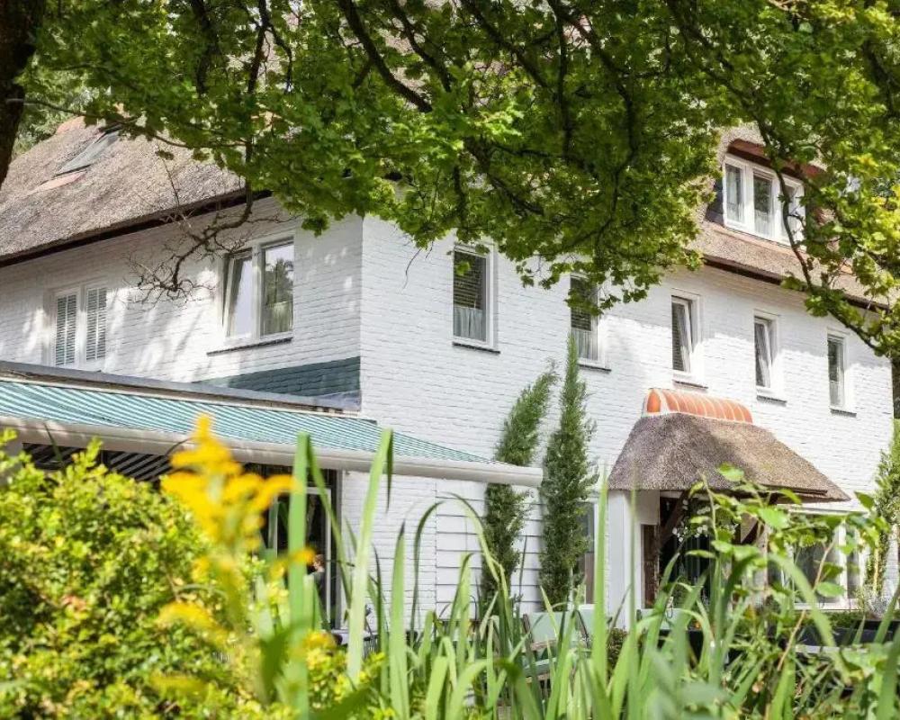 Witte Berken Natuurhotel