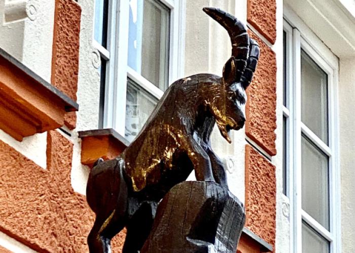 Hotel & Bio Restaurant Schwarzer Bock Boutique-hotel