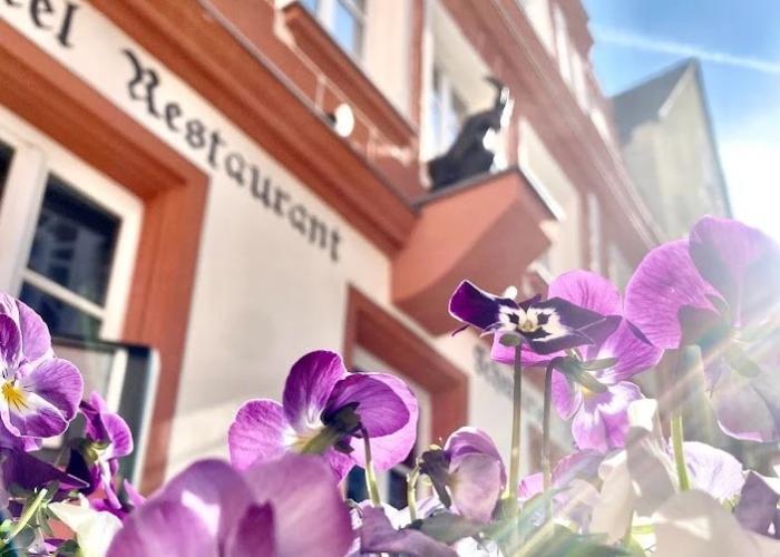 Hotel & Bio Restaurant Schwarzer Bock Boutique-hotel