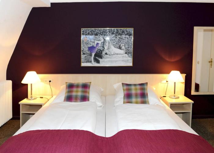 Boutique Hotel Socièté
