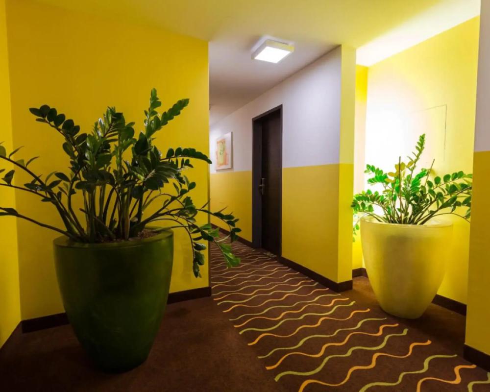 фото Hotel Arooma