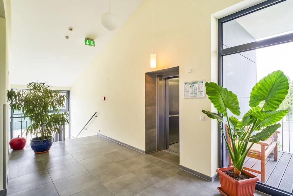 фото Hotel Apfelbaum