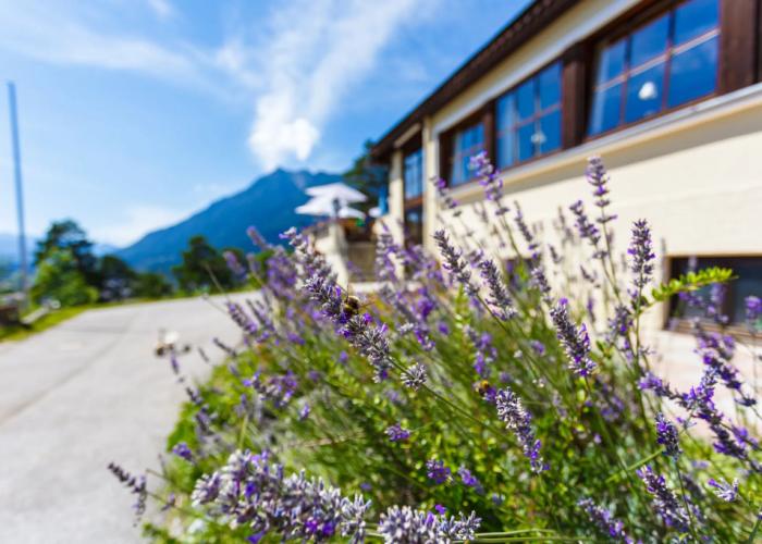 Landhotel & Berggasthof Panorama