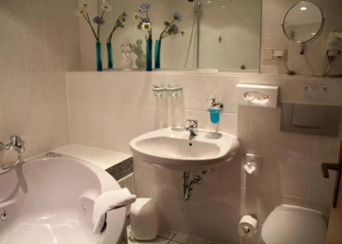 Trip Inn Hotel Zum Riesen