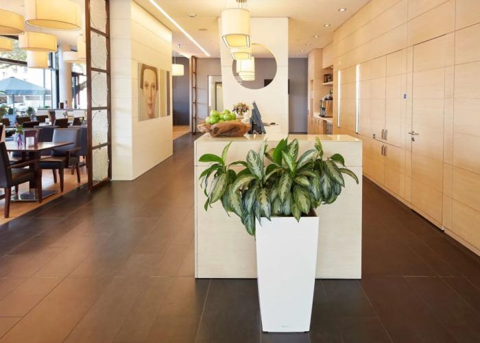 Four Points Flex by Sheraton Koblenz