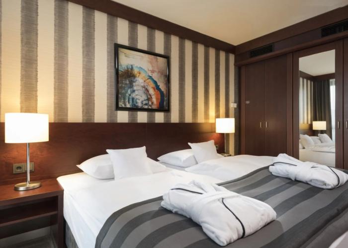 Maritim Hotel Königswinter