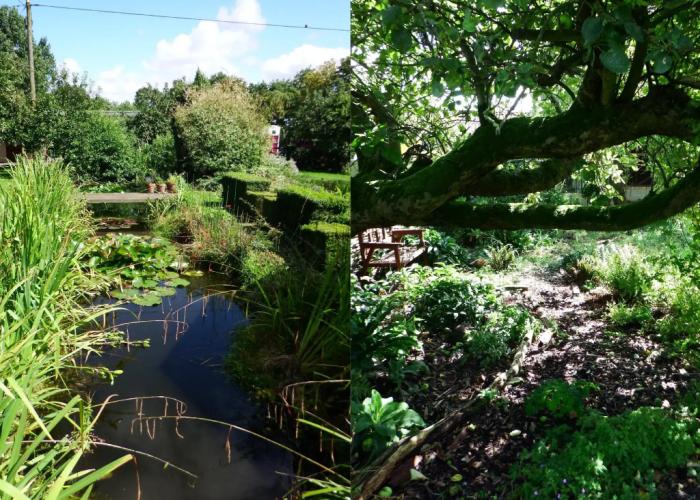 Kenilworth Garden Accommodation