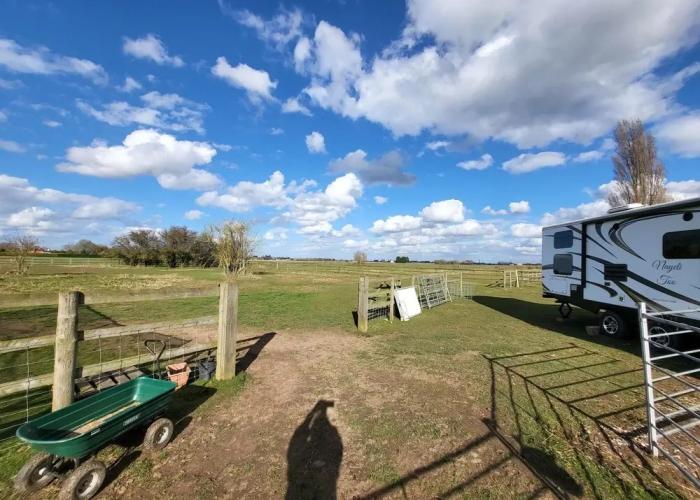 Glamping With Llamas