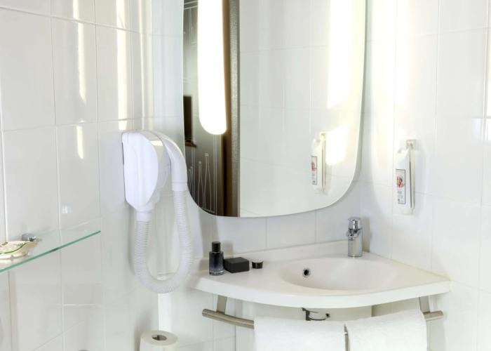 ibis Orange Sud