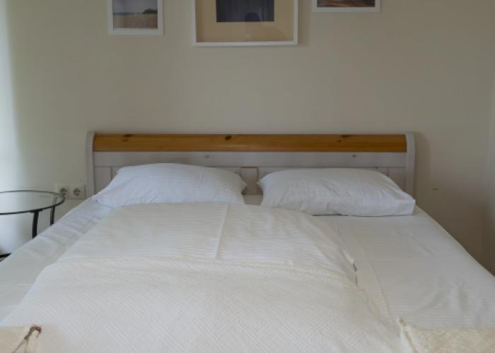 Zolotoj  Gus' Guest House