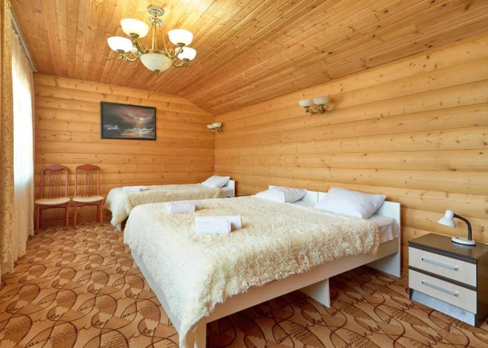 Hotel Bashnya