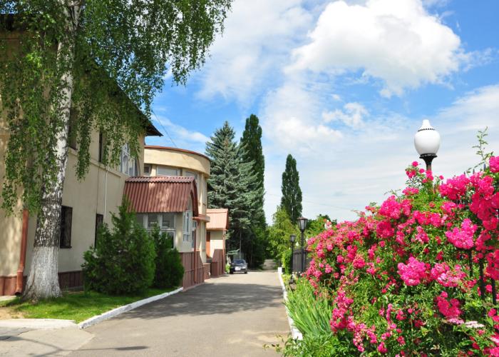 Mechta Hotel