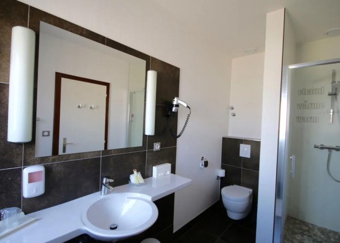 Hotel Restaurant Vaillant proche Europapark-Rulantica