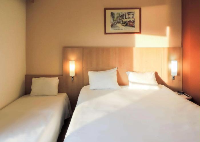 Hôtel ibis Lyon Sud Vienne Saint Louis