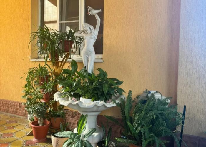 Zhasmin Guest house